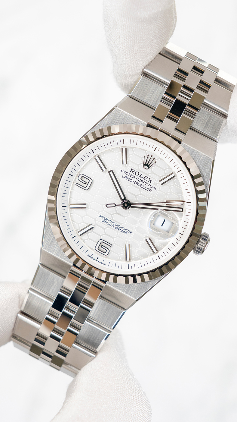 ランドドゥエラー（LAND-DWELLER）