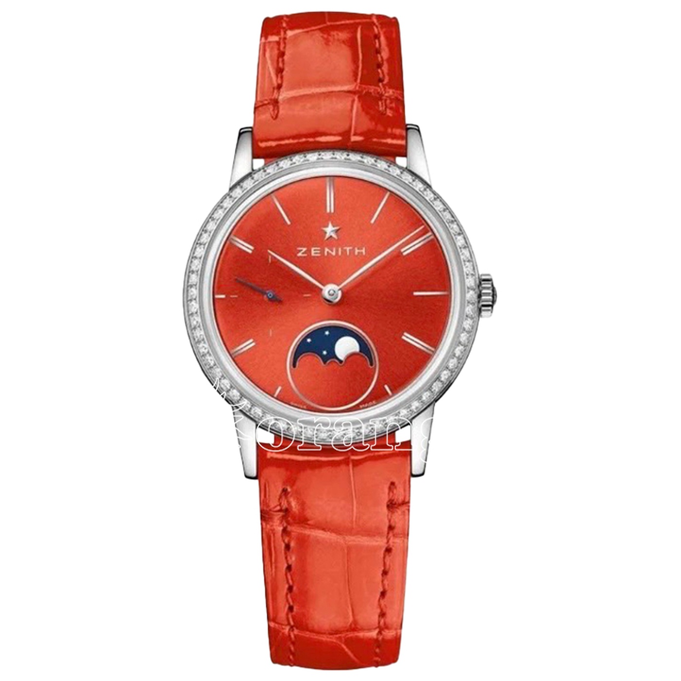 エリート（ELITE）