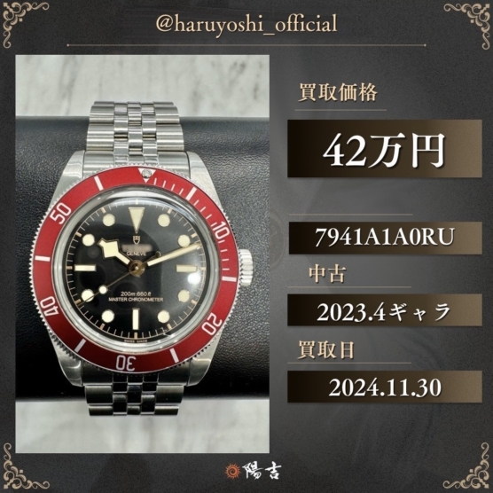7941A1A0RU