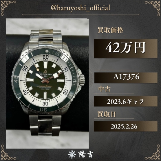 A17376