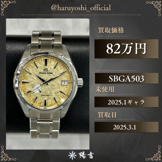 SBGA503