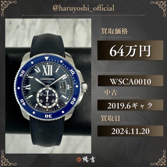 WSCA0010