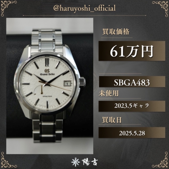SBGA483
