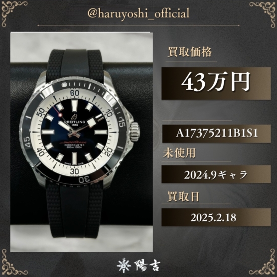 A17375211B1S1