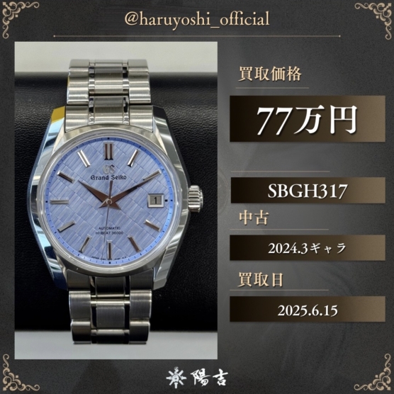 SBGH317