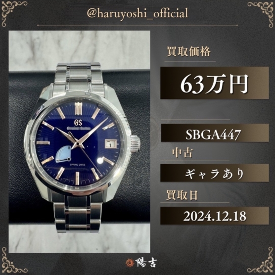 SBGA447