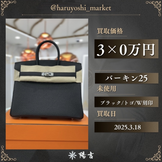 バーキン25