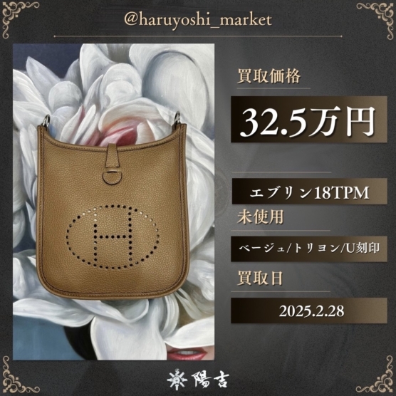 エブリン18TPM