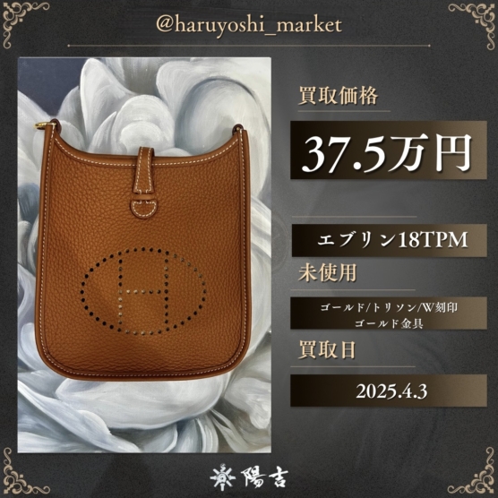 エブリン18TPM