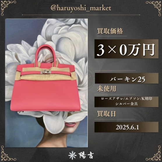 バーキン25