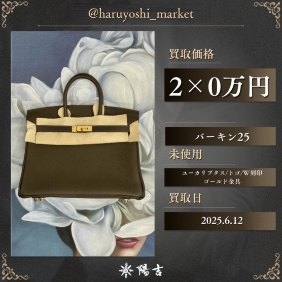 バーキン25