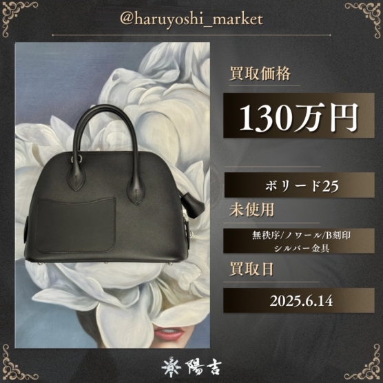 ボリード25