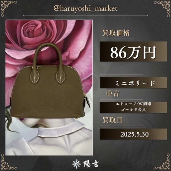 ミニボリード