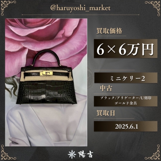 ミニケリー2