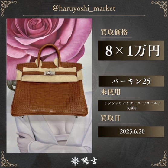 バーキン25