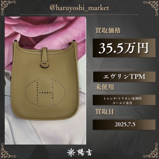 エヴリンTPM