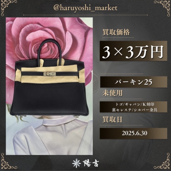バーキン25