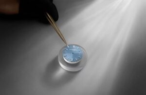 S__1998911_0 - 陽吉